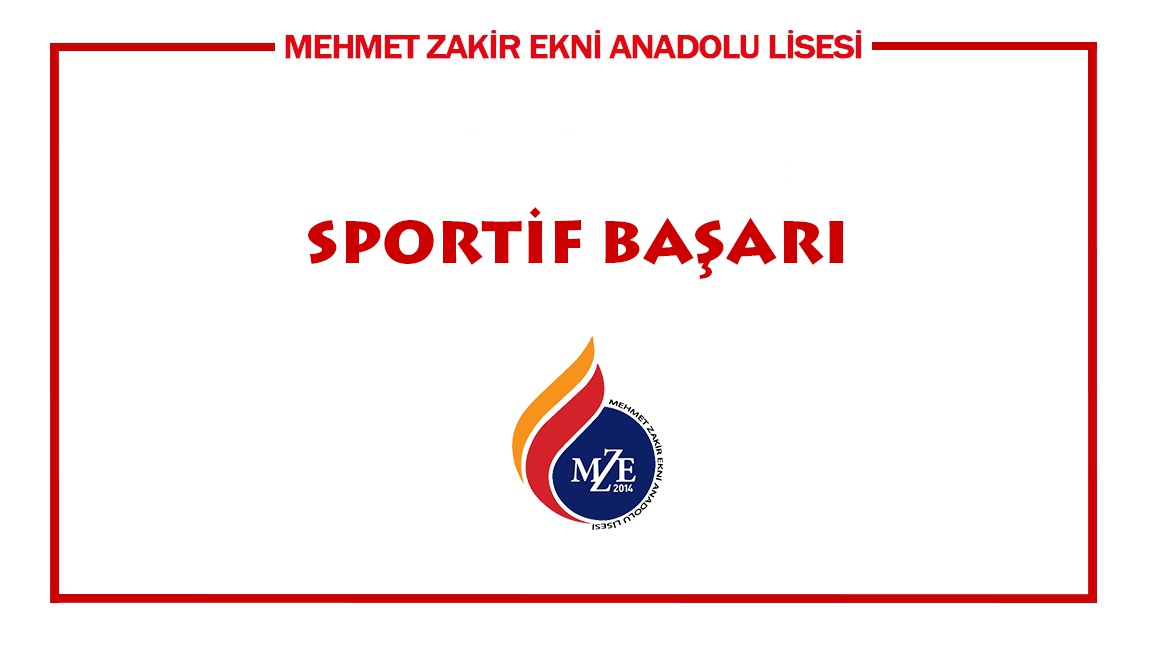 Sportif Başarı